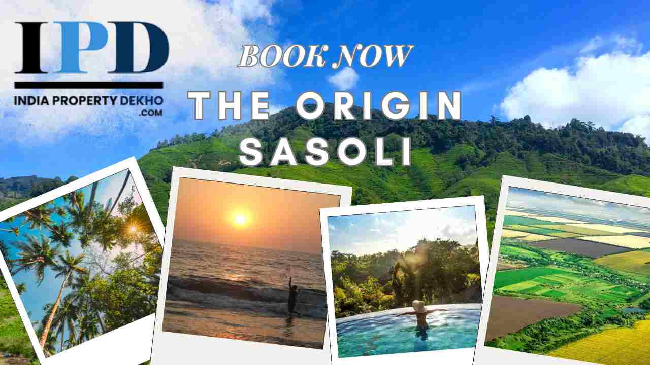The Origin Sasoli