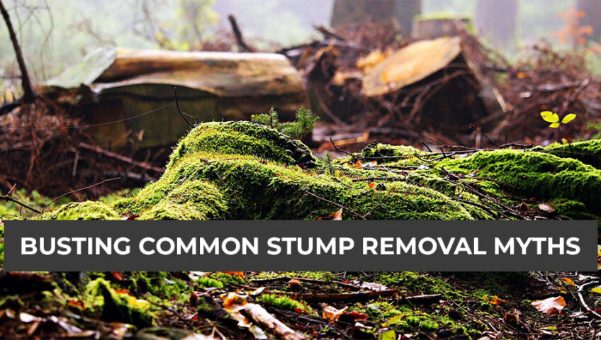Stump removal myths