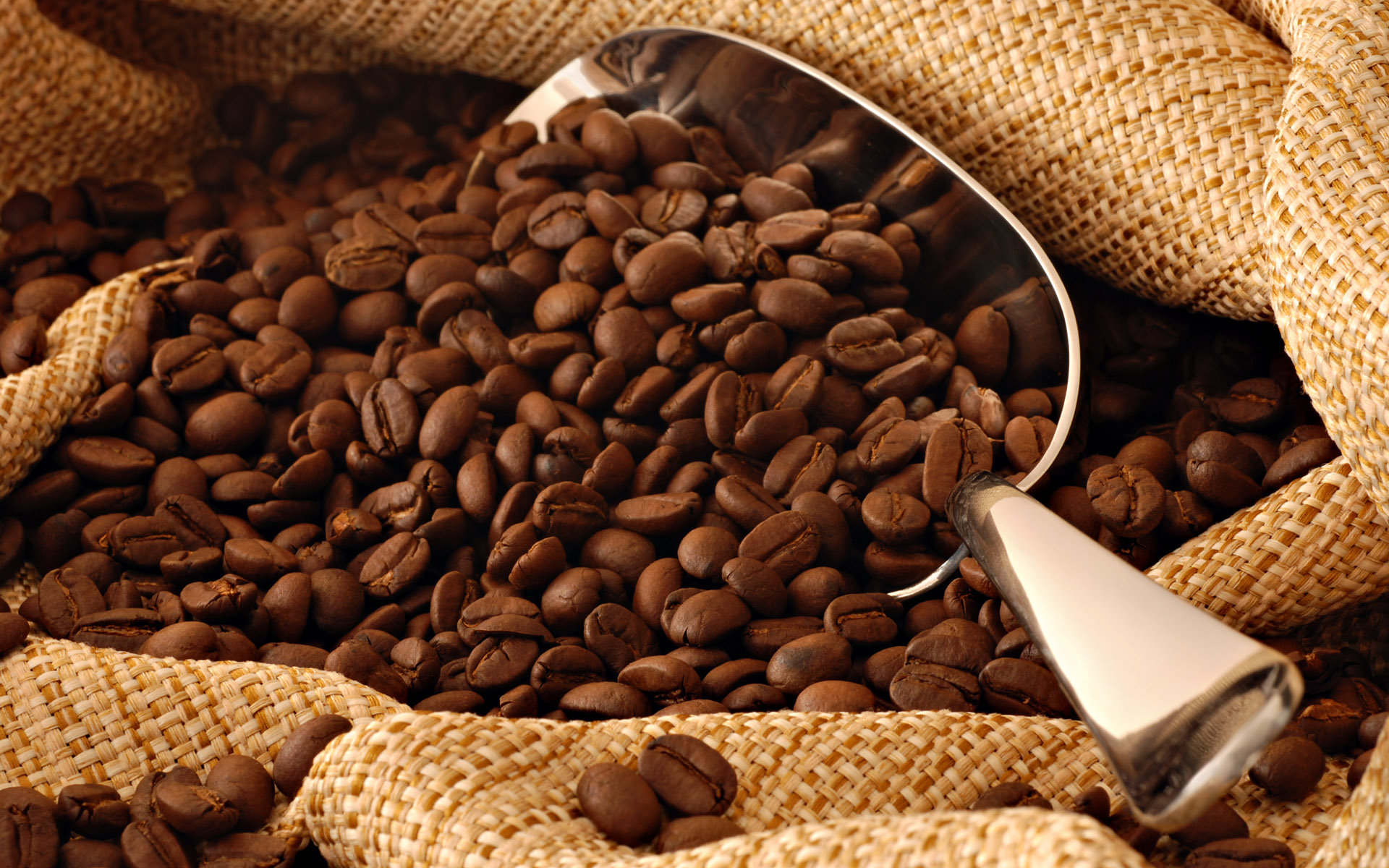 wholesale coffee beans Melbourne
